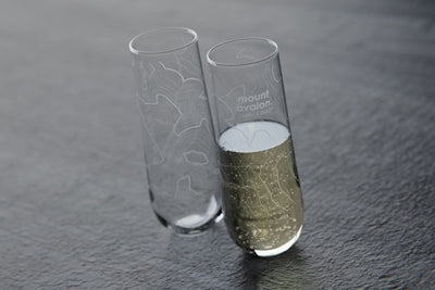 Topography Map Stemless Champagne Flute Pair