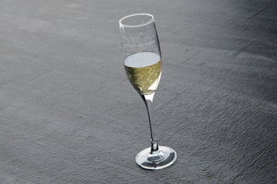Topography Map Stemmed Champagne Flute Pair